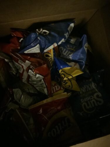 Frito Lay Ultimate Classic Snacks Package, Variety Assortment of Chips, Cookies, Crackers, & Nuts, (Pack of 40) (Packaging May Vary) photo review